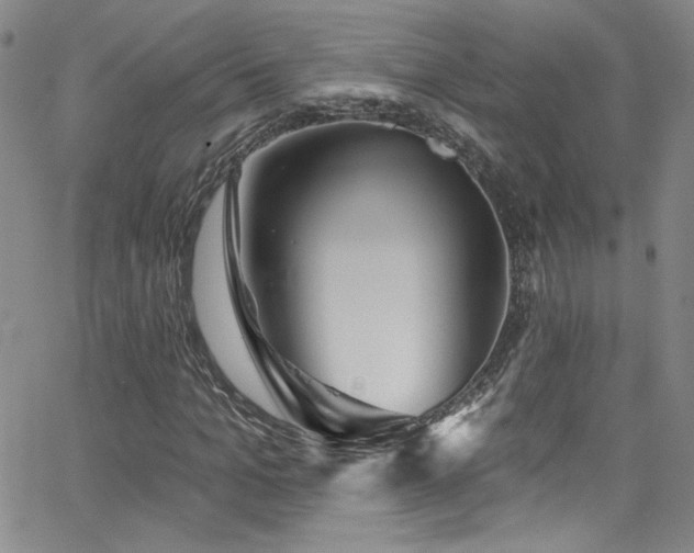 X0000062790965200512221346
