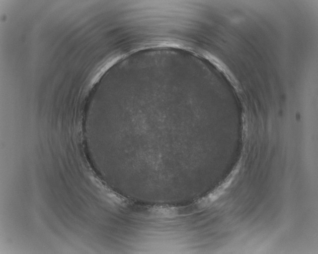 X0000062790977200512221346