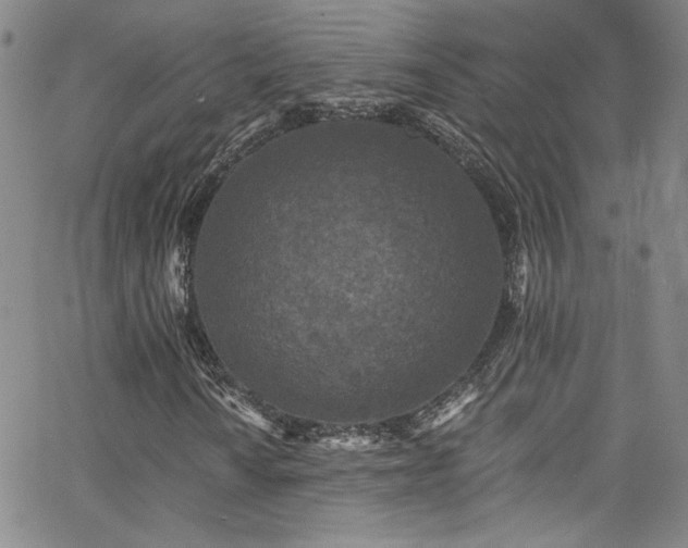 X0000062791010200512221345