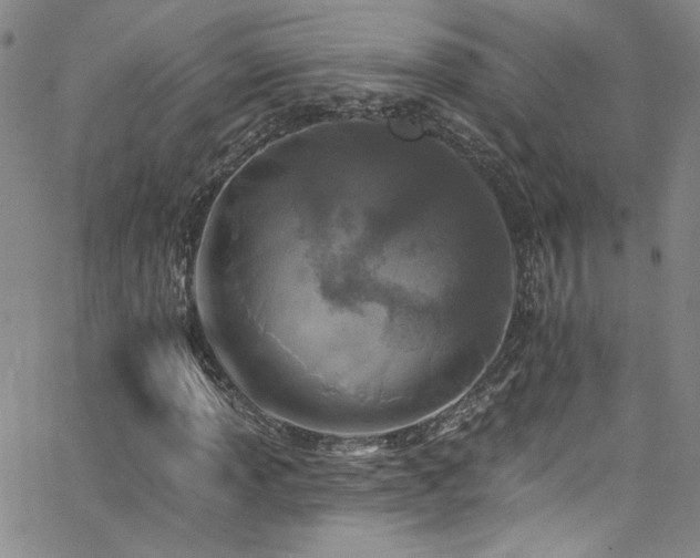 X0000062791013200512221345