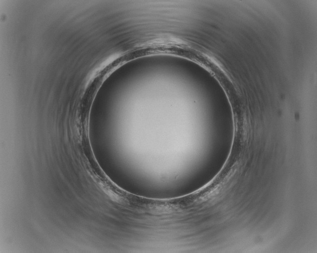 X0000062791018200512221345