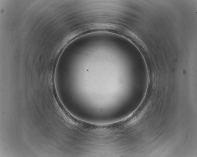X0000062791033200512221345