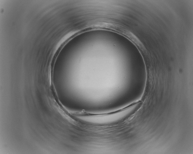 X0000062791036200512221345