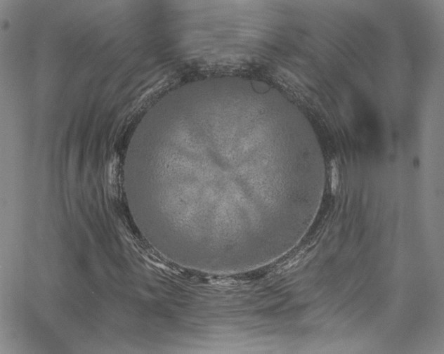X0000062791059200512221345