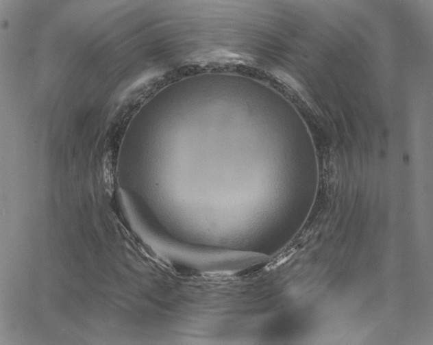 X0000062791063200512221345