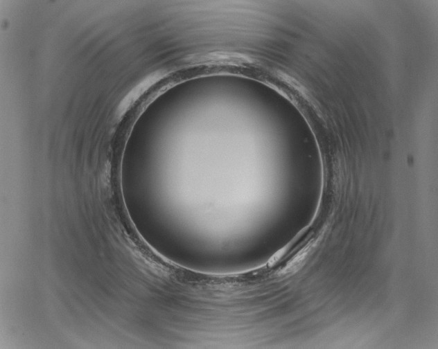 X0000062791066200512221345