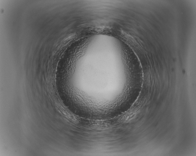 X0000062791105200512221343