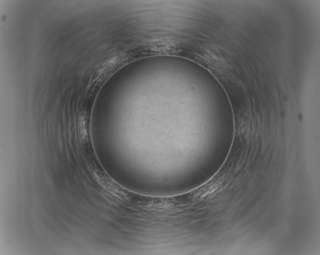 X0000062791106200512221343