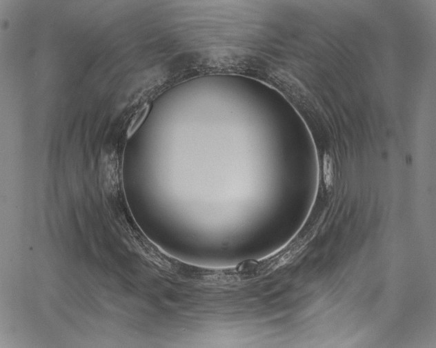 X0000062791107200512221343
