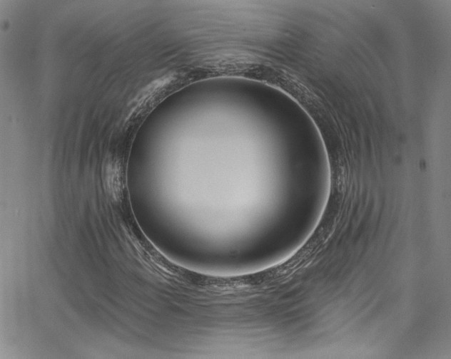 X0000062791108200512221343