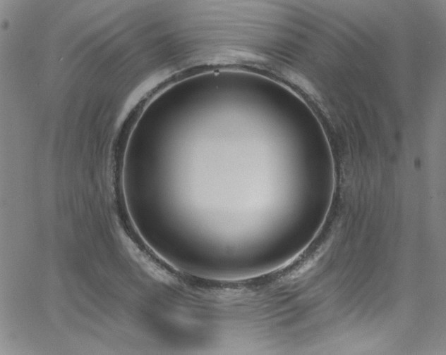 X0000062791122200512221343
