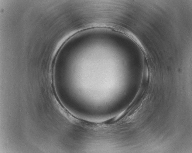 X0000062791148200512221344