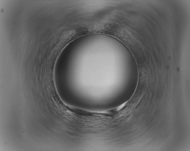 X0000062791153200512221343