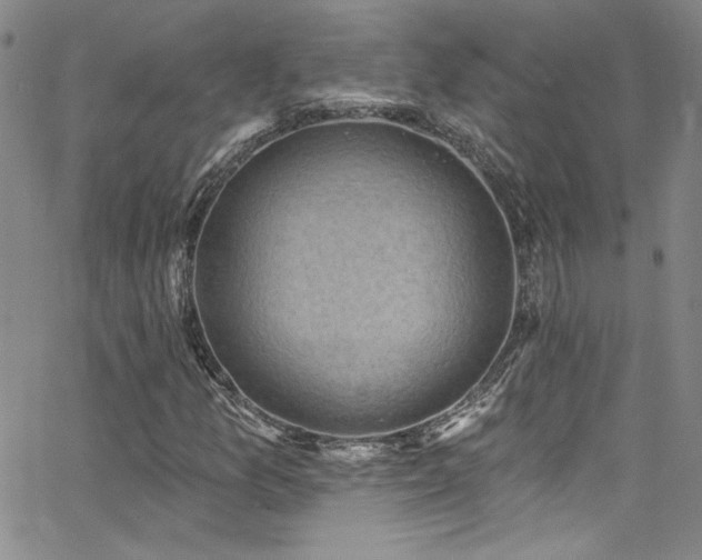 X0000062791157200512221343