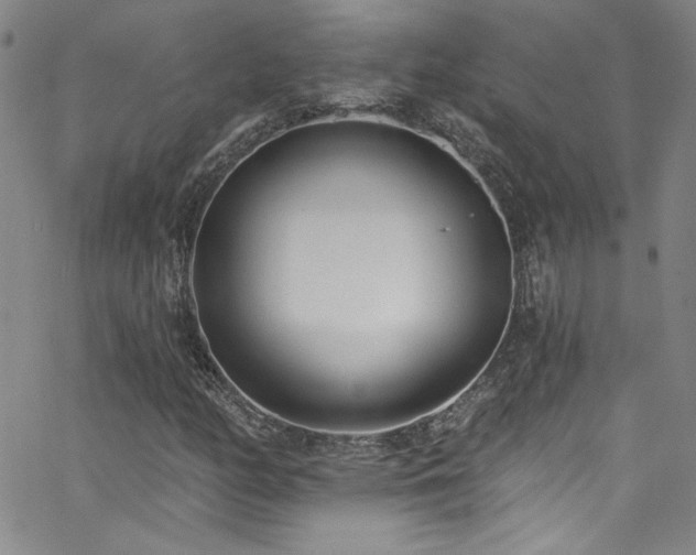 X0000062791158200512221343