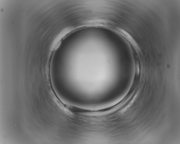 X0000062791196200512221342