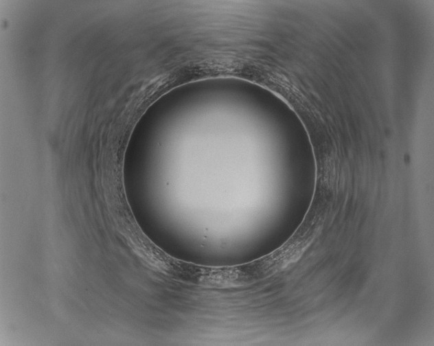 X0000062791201200512221342