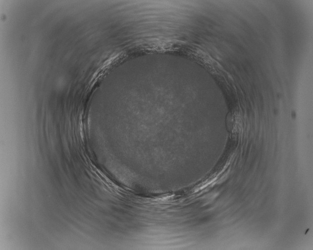 X0000062791202200512221342