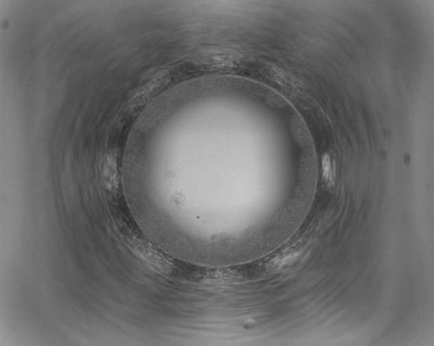 X0000062791203200512221342