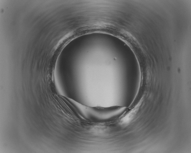 X0000062791210200512221342