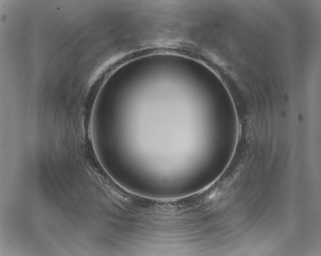 X0000062791214200512221342