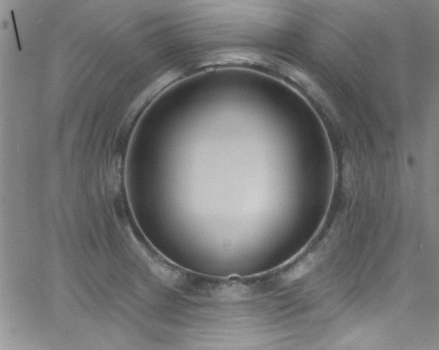 X0000062791233200512221342