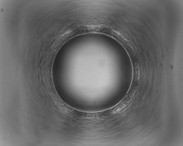 X0000062791249200512221342