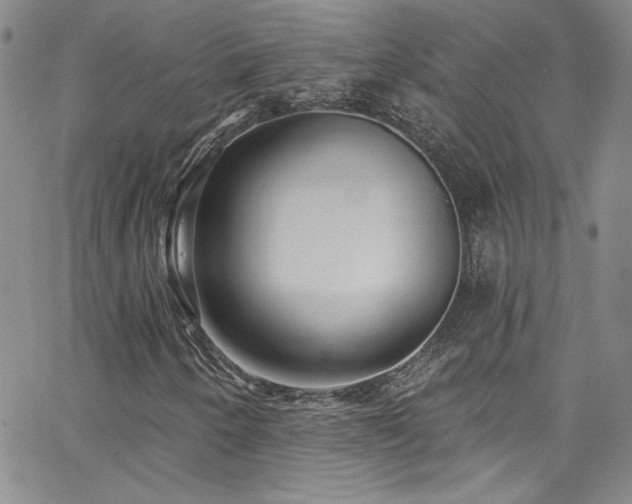 X0000062791250200512221342