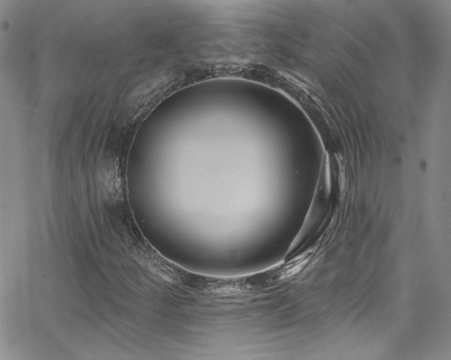 X0000062791252200512221341