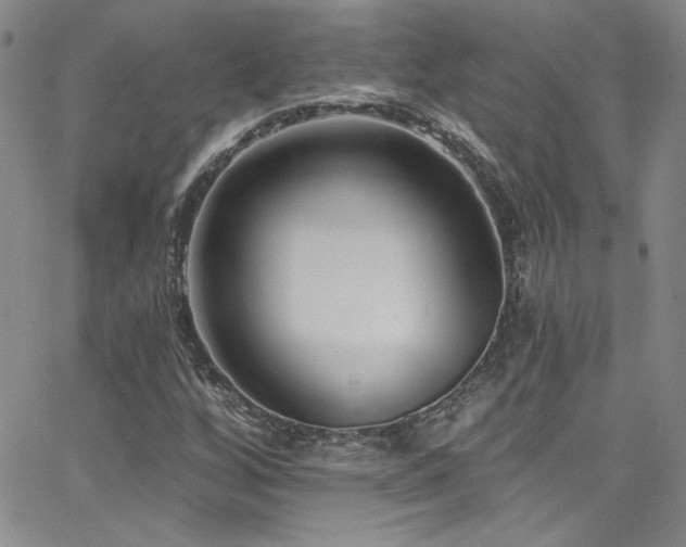 X0000062791256200512221341