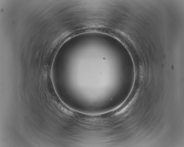 X0000062791257200512221341