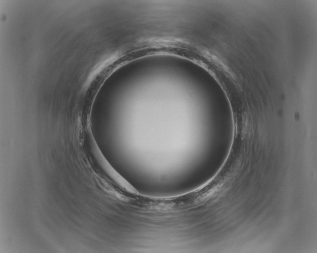 X0000062791261200512221341