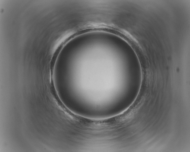 X0000062791269200512221341