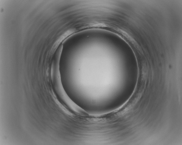 X0000062791281200512221341