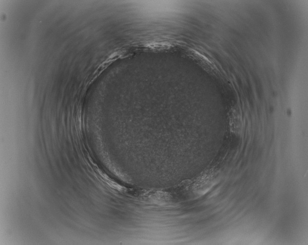 X0000062791298200512221340
