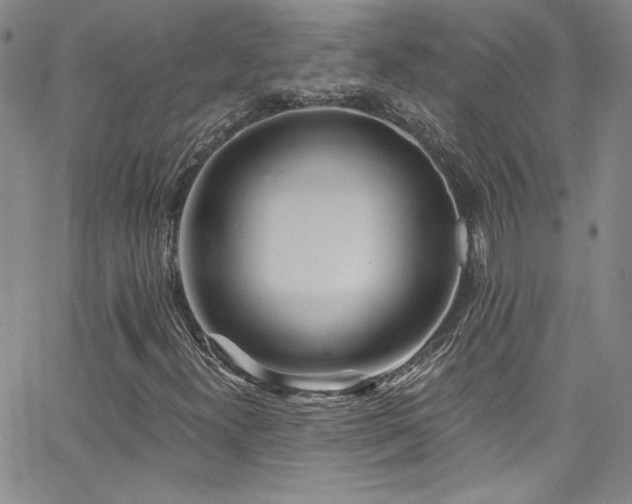 X0000062791300200512221340