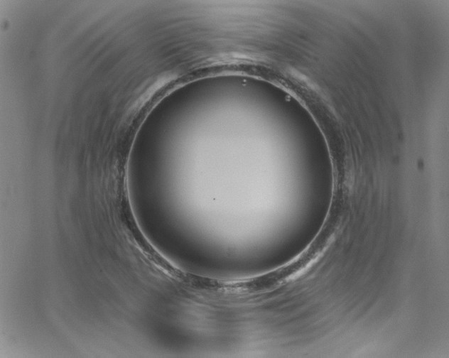 X0000062791313200512221340