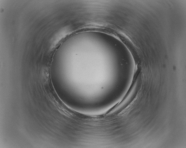 X0000062791355200512221340