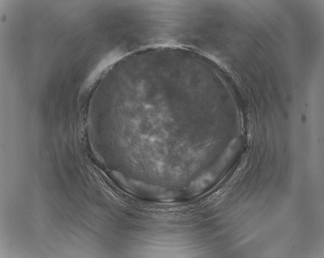 X0000062791359200512221340