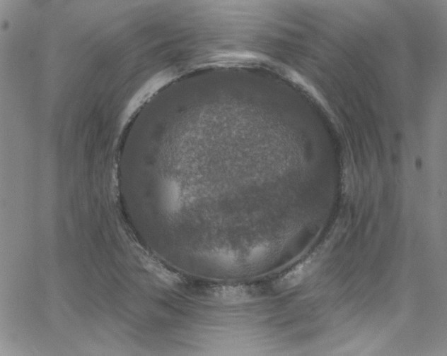 X0000062791362200512221340