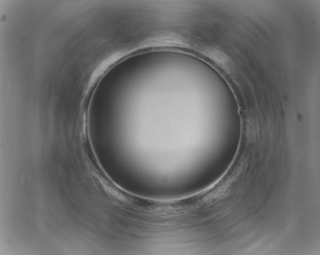 X0000062791366200512221340