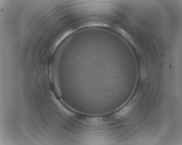 X0000062791369200512221340