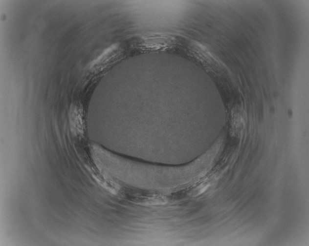 X0000062791394200512221338