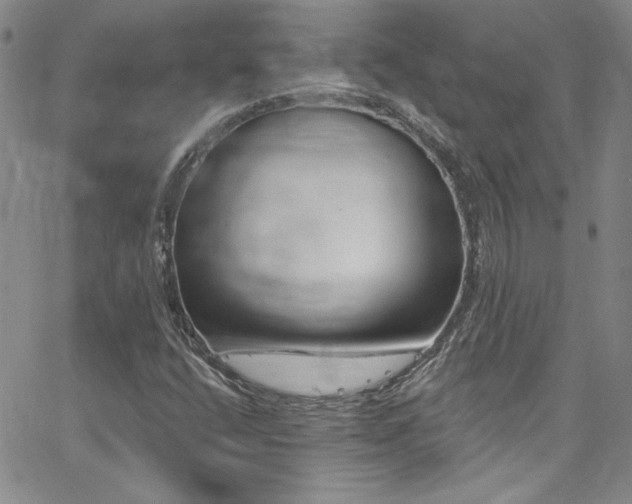 X0000062791400200512221338