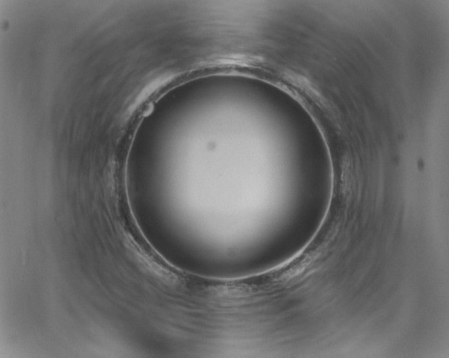 X0000062791404200512221338