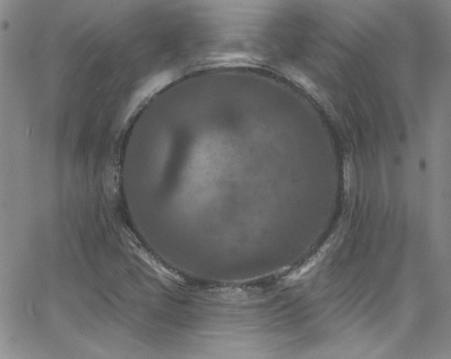 X0000062791405200512221338