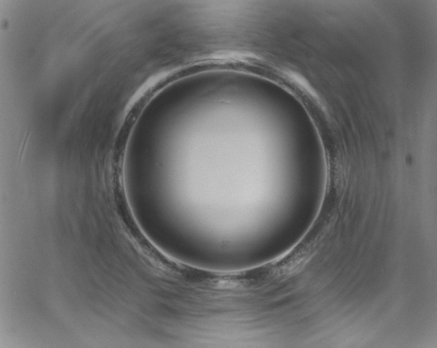 X0000062791412200512221339