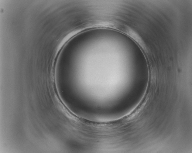 X0000062791436200512221339
