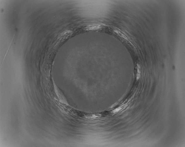 X0000062791441200512221338