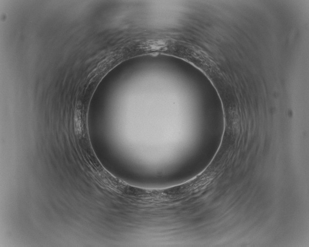 X0000062791442200512221338